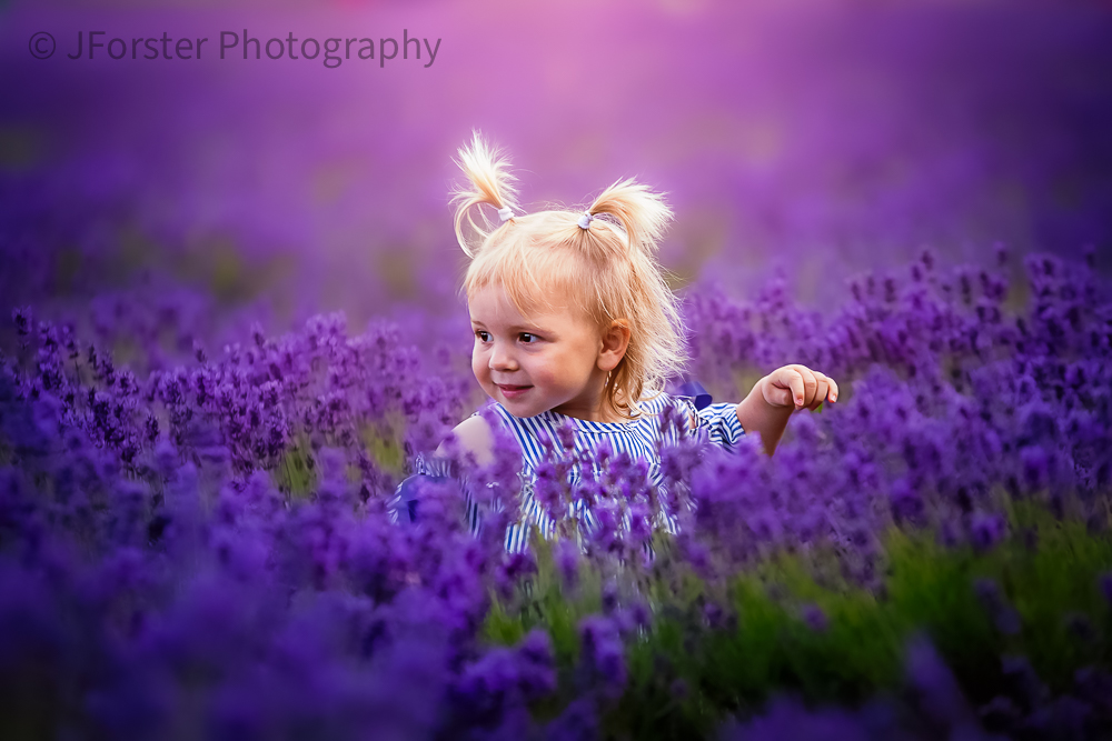 Child portrait in Lavender